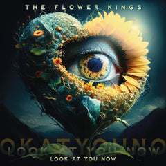 The Flower Kings Look At You Now Vinyl LP