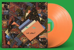 Animal Collective Isn't It Now? Vinyl LP [Orange]
