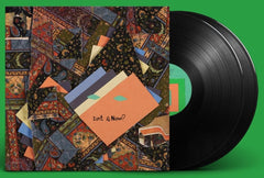 Animal Collective Isn't It Now? Vinyl LP