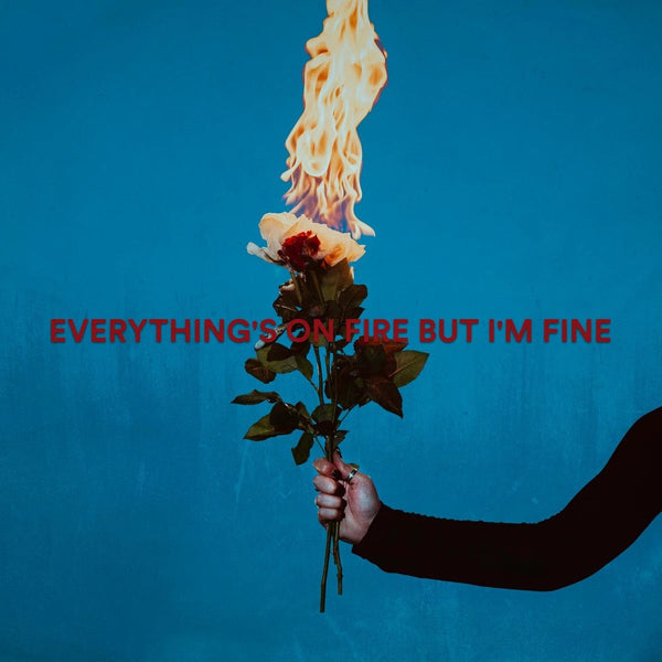 As December Falls Everything's On Fire But I'm Fine CD [Importado]
