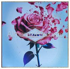 Belanova Vida En Rosa Tour Vinyl LP [Rosa]
