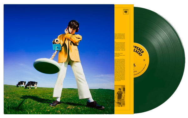 Declan McKenna What Happened To The Beach? Vinyl LP [Green]