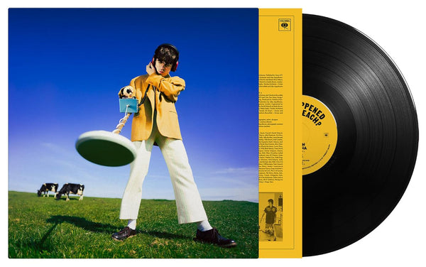 Declan McKenna What Happened To The Beach? Vinyl LP