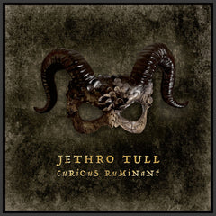Jethro Tull Curious Ruminant CD [Importado]