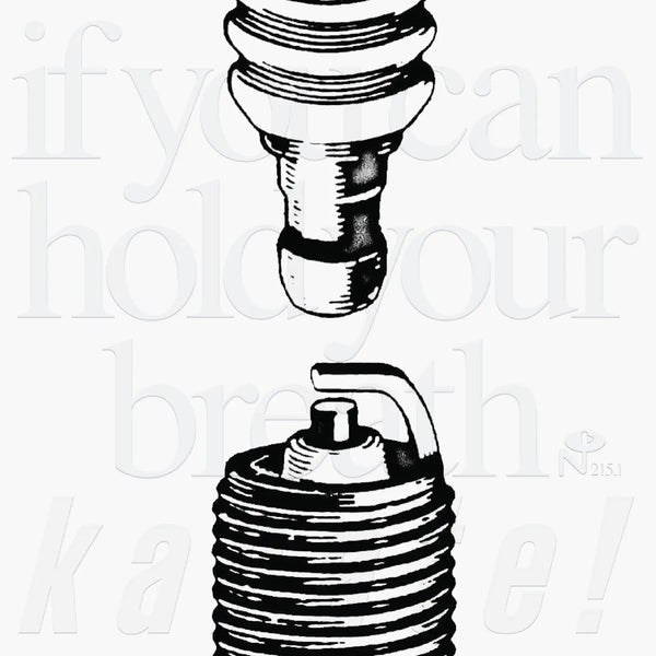 Karate If You Can Hold Your Breath Vinyl LP