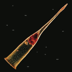 Leprous Melodies Of Atonement CD [Importado]