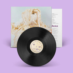 Pale Saints In Ribbons 30th Anniversary Vinyl LP