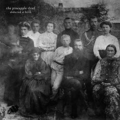 The Pineapple Thief Abducted At Birth Vinyl LP