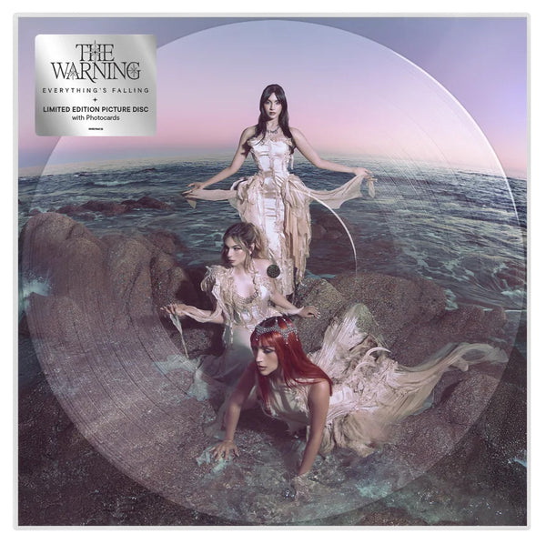 The Warning Everything's Falling Vinyl LP [Picture Disc]