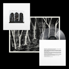 These New Puritans Crooked Wing Vinyl LP [Clear]