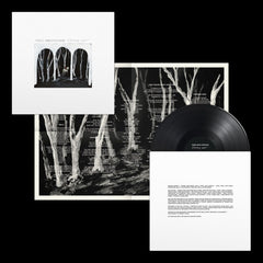 These New Puritans Crooked Wing Vinyl LP