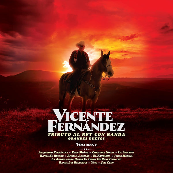 Vicente Fernandez Tributo Al Rey Con Banda Grandes Duetos Vol. 1 Vinyl LP