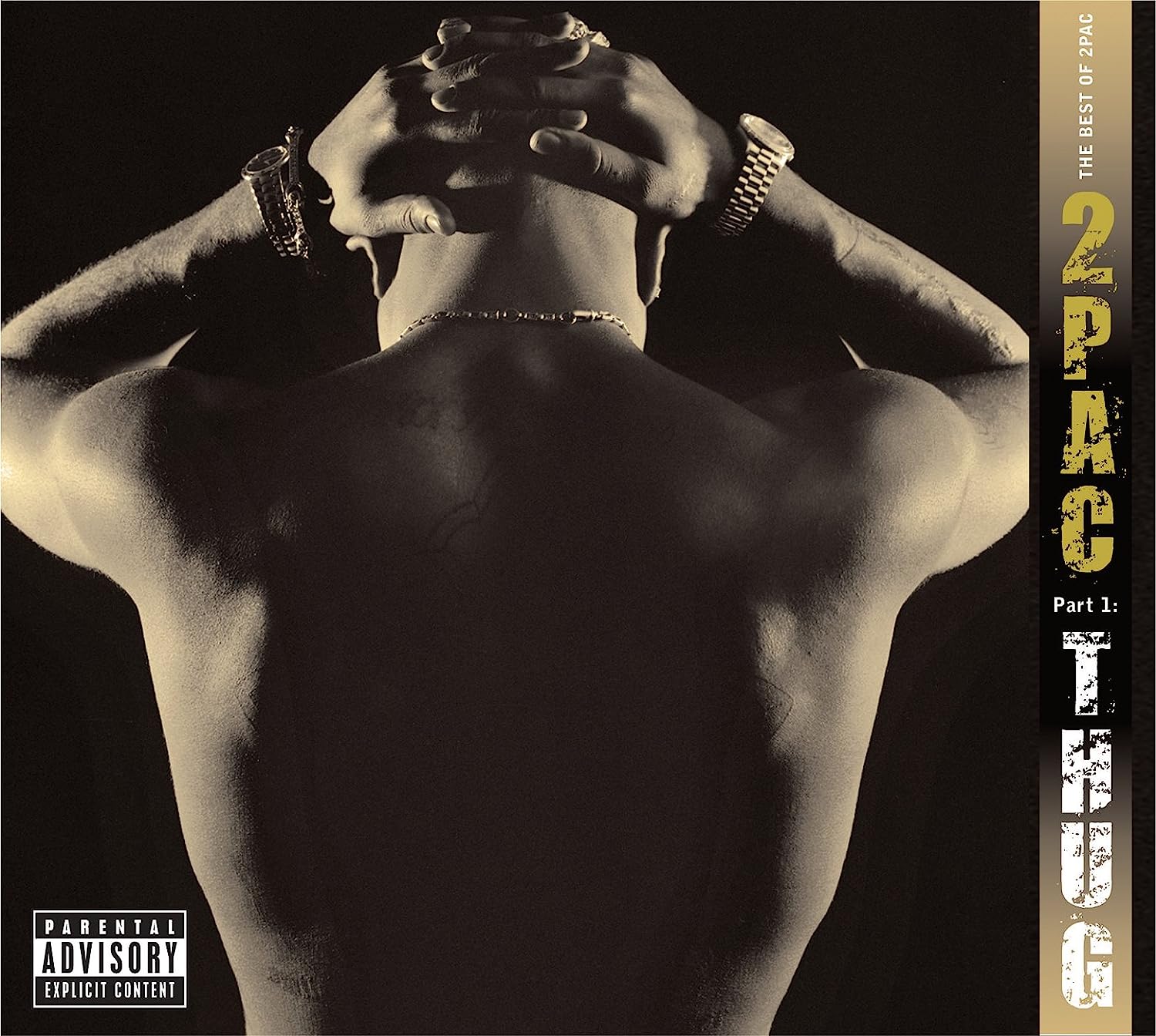 2Pac The Best Of Part 1 Thug CD [Importado]