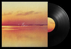 Andy Shauf Norm Vinyl LP