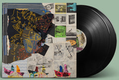 Animal Collective Time Skiffs Vinyl LP
