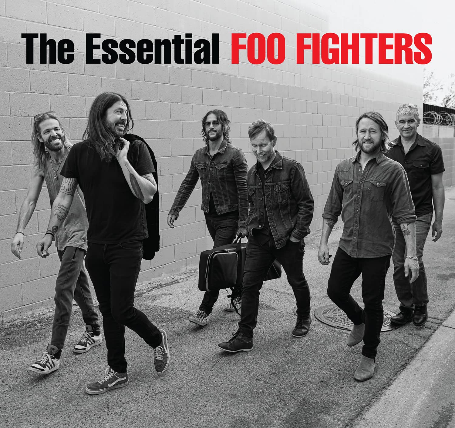 Foo Fighters The Essential CD [Importado]