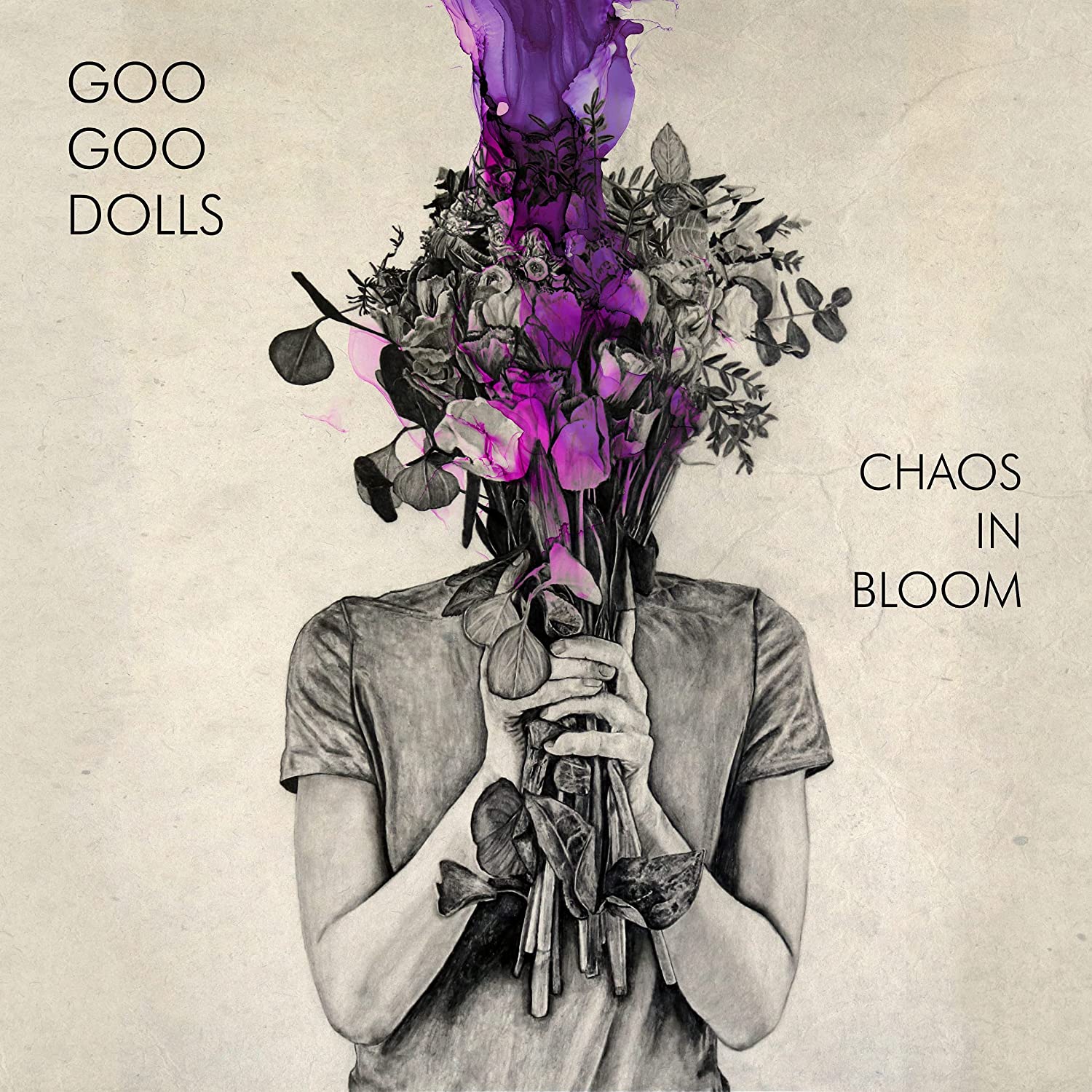 Goo Goo Dolls Chaos In Bloom Vinyl LP