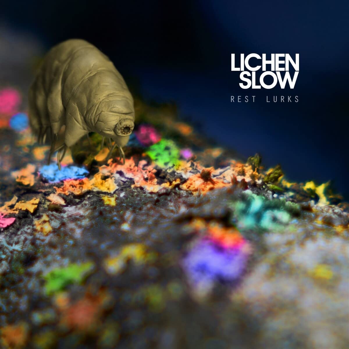 Lichen Slow Rest Lurks CD [Importado]