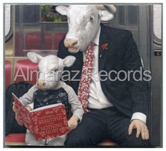 Moby Everything Was Beautiful And Nothing Hurt CD