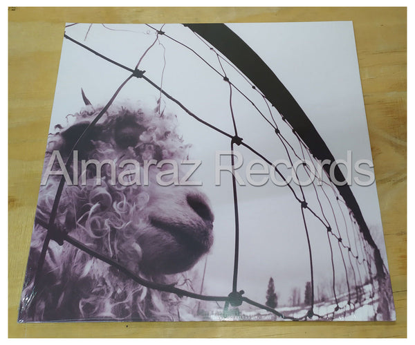 Pearl Jam Vs Vinyl LP - Versus