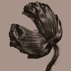 Pet Shop Boys Release Vinyl LP