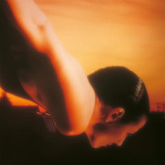 Porcupine Tree On The Sunday Of Life Vinyl LP