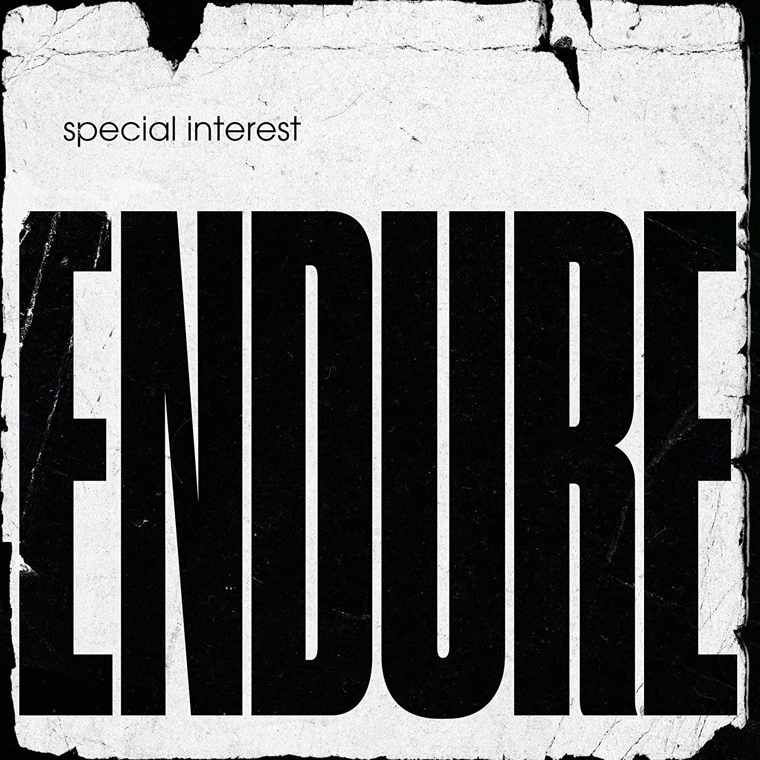 Special Interest Endure CD [Importado]