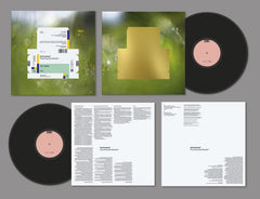Spiritualized Everything Was Beautiful Vinyl LP